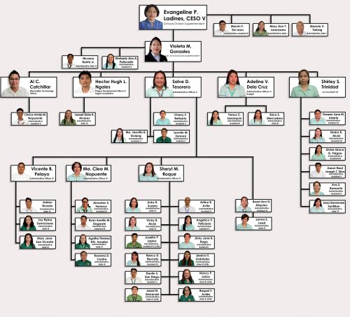 Organizational Structure | Division of Paranaque City