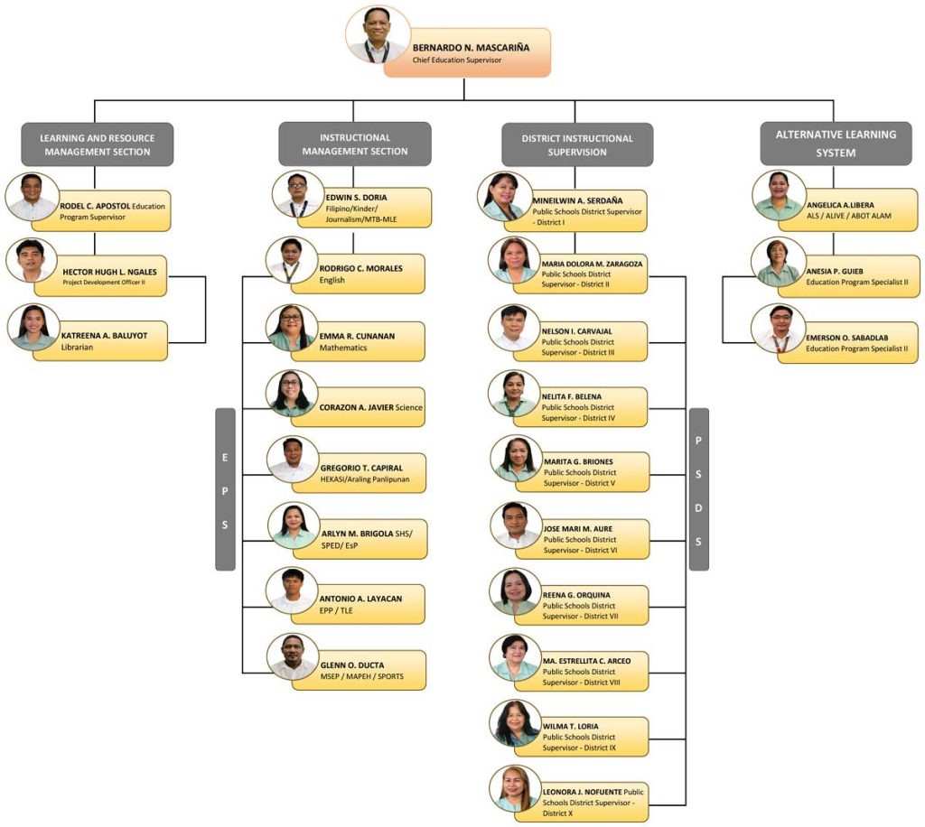 Organizational Structure | Division of Paranaque City